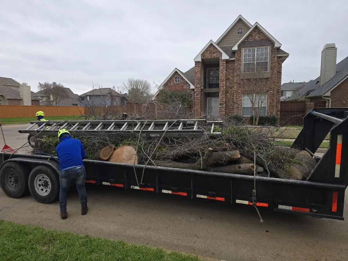 Expert Tree Removal with proper safety equipment in Fort Wainwright
